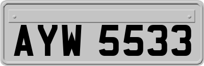 AYW5533
