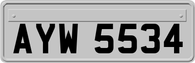 AYW5534