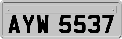 AYW5537
