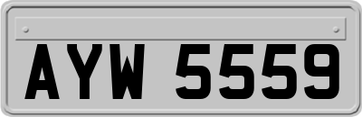 AYW5559