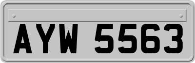 AYW5563