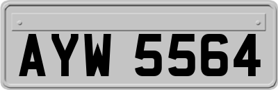 AYW5564