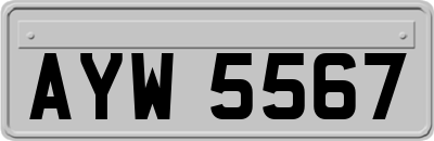 AYW5567