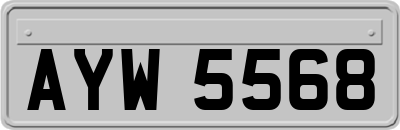 AYW5568
