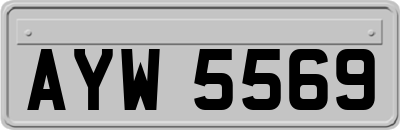 AYW5569