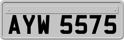 AYW5575
