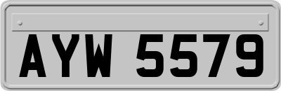 AYW5579