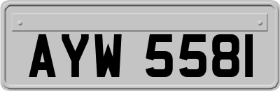 AYW5581