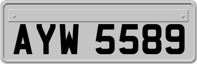 AYW5589