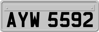 AYW5592