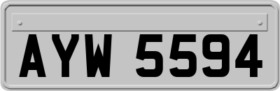 AYW5594