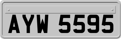 AYW5595
