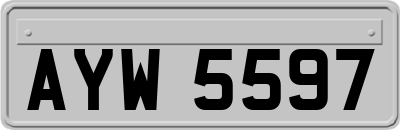 AYW5597