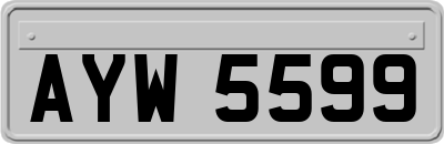 AYW5599