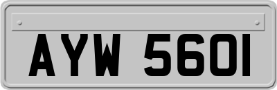AYW5601