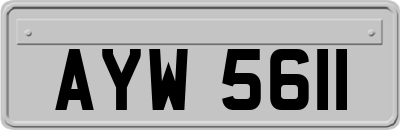 AYW5611