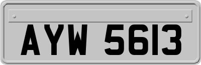 AYW5613