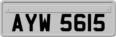 AYW5615