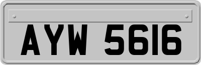 AYW5616