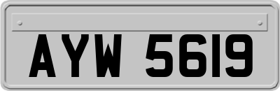 AYW5619