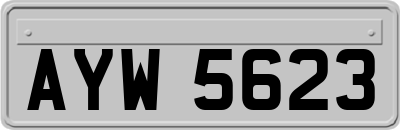 AYW5623