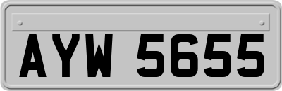 AYW5655