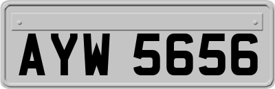 AYW5656