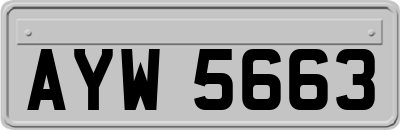 AYW5663