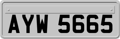 AYW5665