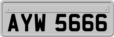 AYW5666