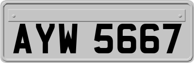 AYW5667
