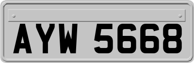AYW5668