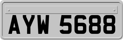 AYW5688