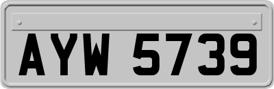 AYW5739