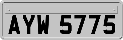 AYW5775