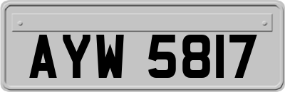 AYW5817