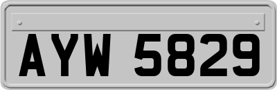 AYW5829