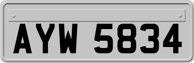 AYW5834