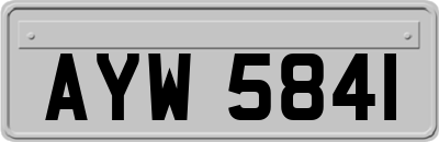 AYW5841