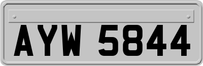 AYW5844