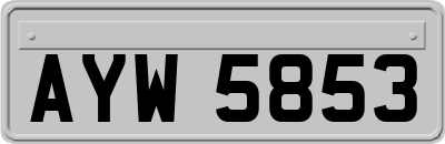 AYW5853