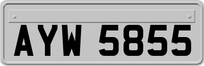 AYW5855