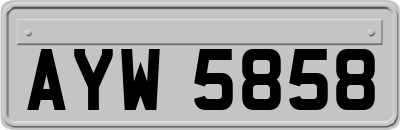 AYW5858