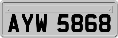 AYW5868