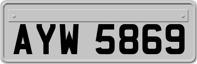 AYW5869