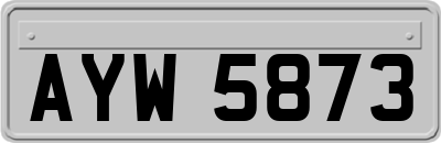 AYW5873