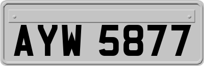 AYW5877