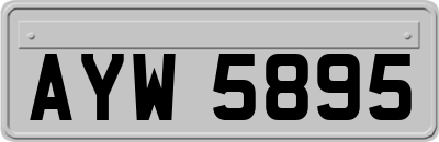 AYW5895