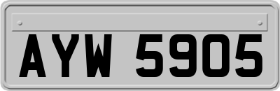 AYW5905