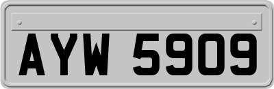 AYW5909